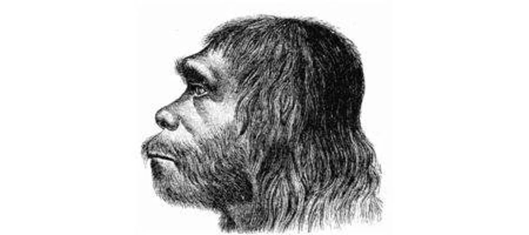 an analysis of the existence of neanderthals Analysis of neanderthal teeth grooves uncovers evidence of prehistoric dentistry date: june 28, 2017 source: university of kansas summary: a discovery of multiple toothpick grooves on teeth and signs of other manipulations by a neanderthal of 130,000 years ago are evidence of a kind of prehistoric dentistry, according to a new study researcher. an analysis of the existence of neanderthals Analysis of neanderthal teeth grooves uncovers evidence of prehistoric dentistry date: june 28, 2017 source: university of kansas summary: a discovery of multiple toothpick grooves on teeth and signs of other manipulations by a neanderthal of 130,000 years ago are evidence of a kind of prehistoric dentistry, according to a new study researcher.