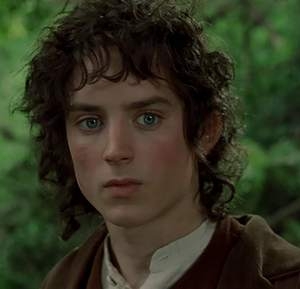 actor for frodo baggins