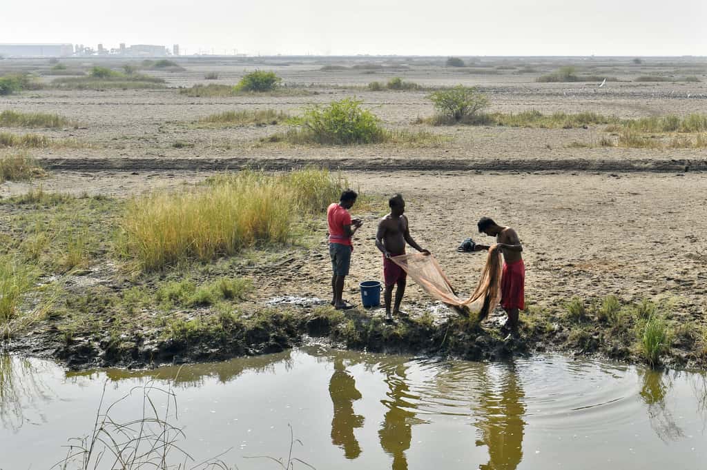 Men use a fishing net near the village of Dholera, Gujarat, India, on Wednesday, November 22, 2017. (Photographer: Anindito Mukherjee/Bloomberg)